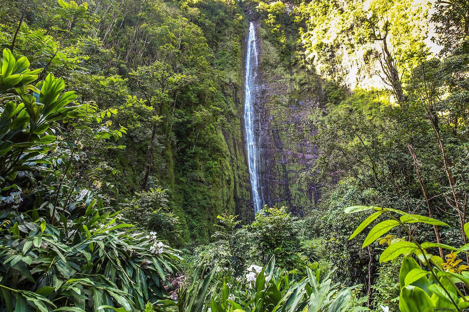 8 des cascades les plus époustouflantes à voir à Hawaï 